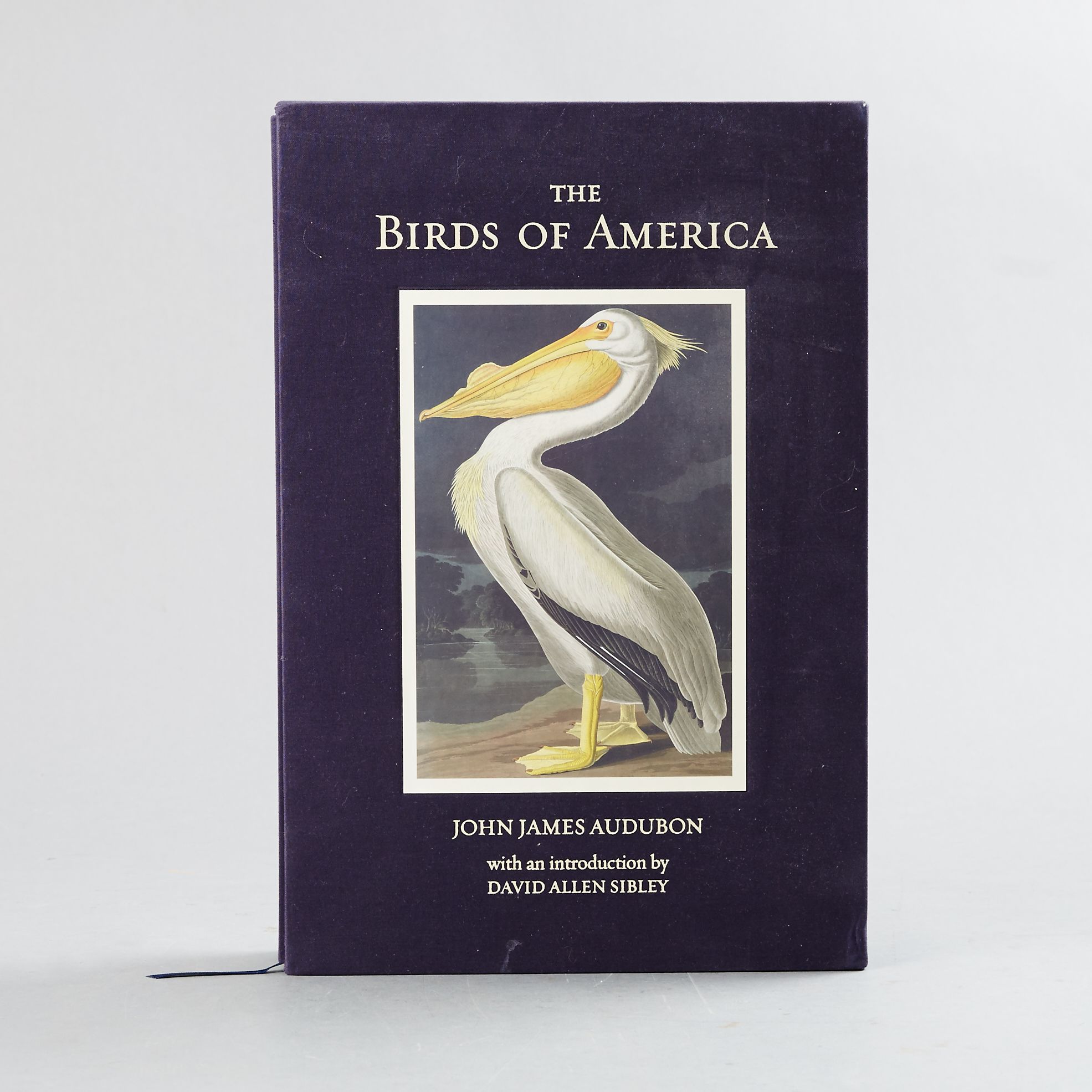 Audubon The Birds of America 2011