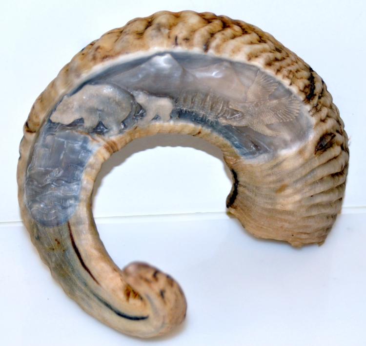 Alaskan carved ram horn