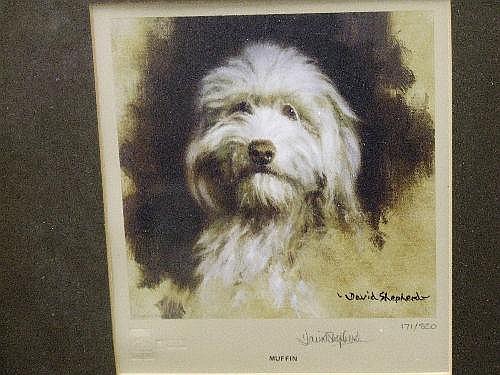 A Limited Edition print after David Shepherd