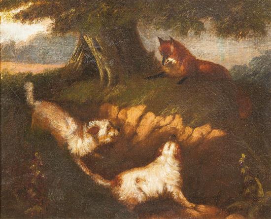 The Fox and the Hounds