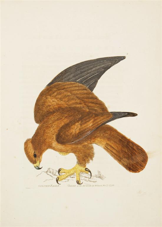 LEWIN, (WILLIAM) The Birds of Great Britain. London: Printed for J. Johnson, 1795-1800.