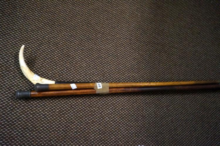 2 silver top walking sticks & tusk handled walking stick