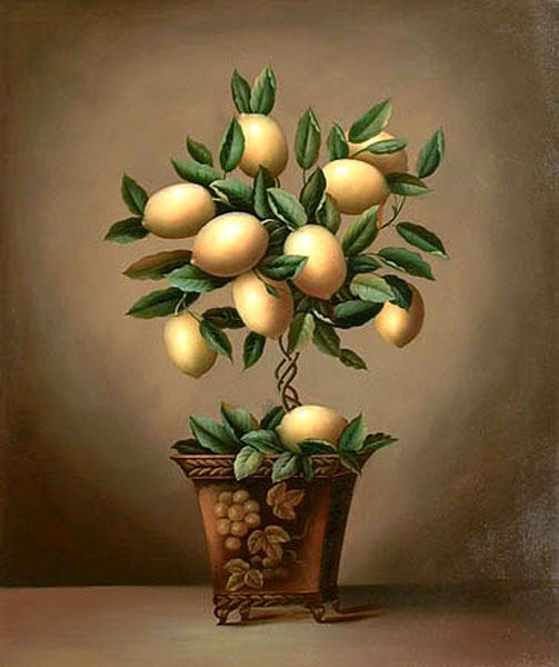 Still Life Oil Painting