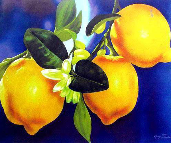 Still Life Oil Painting