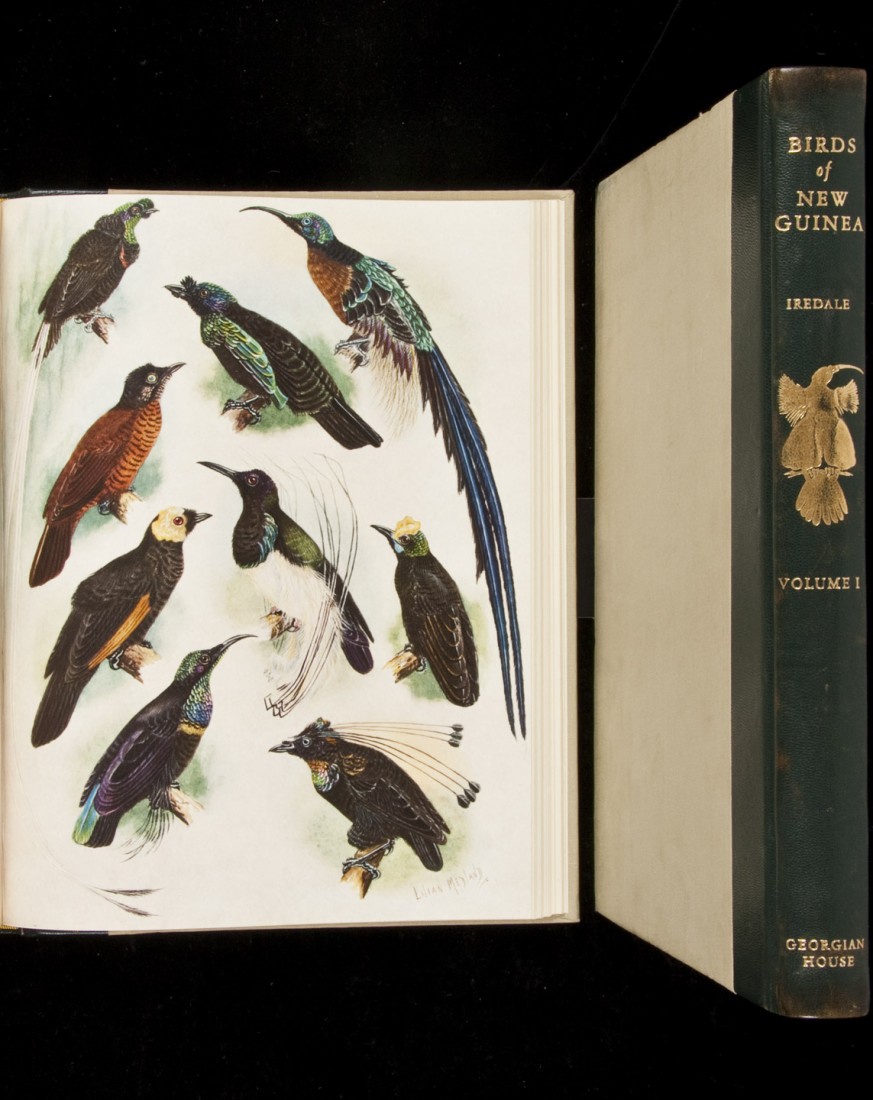 123: Birds of New Guinea 1956 color illustrations