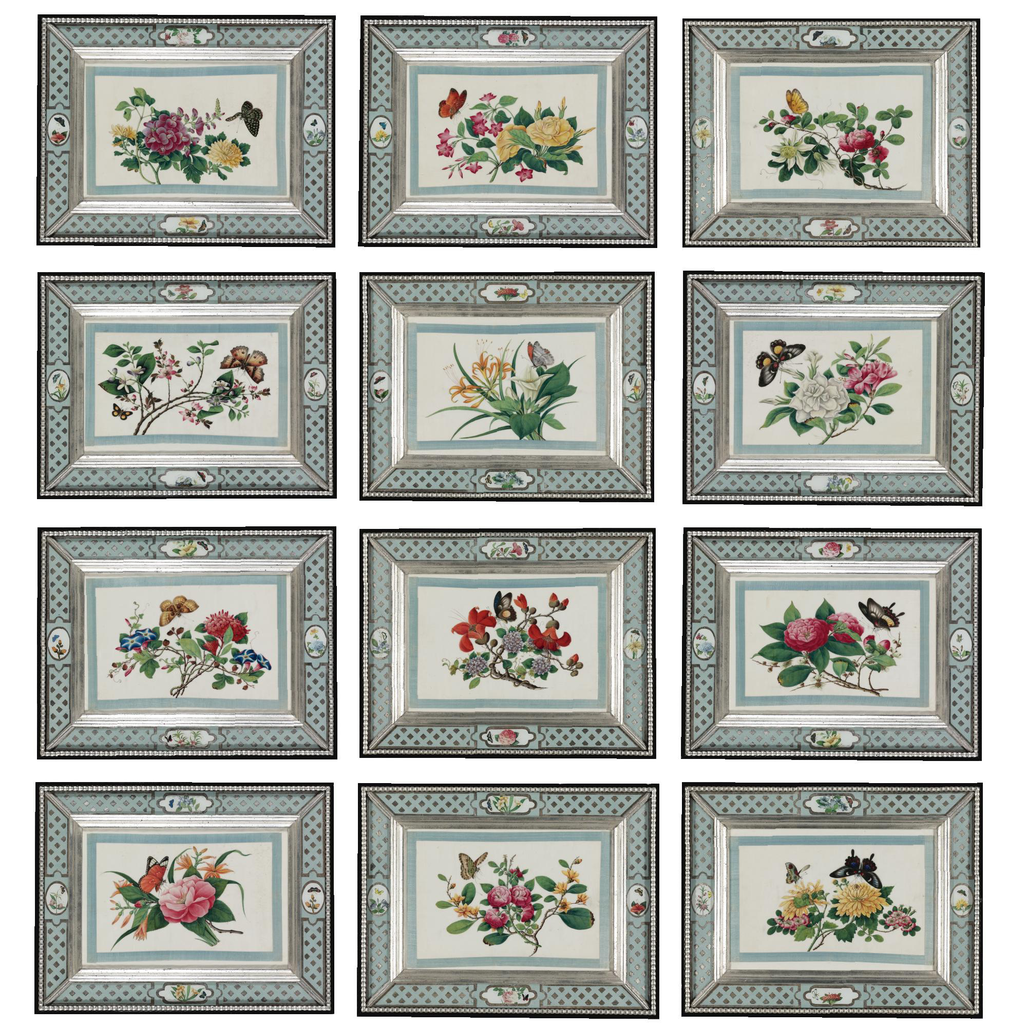 A set of twelve framed Chinese export pith-paper paintings
