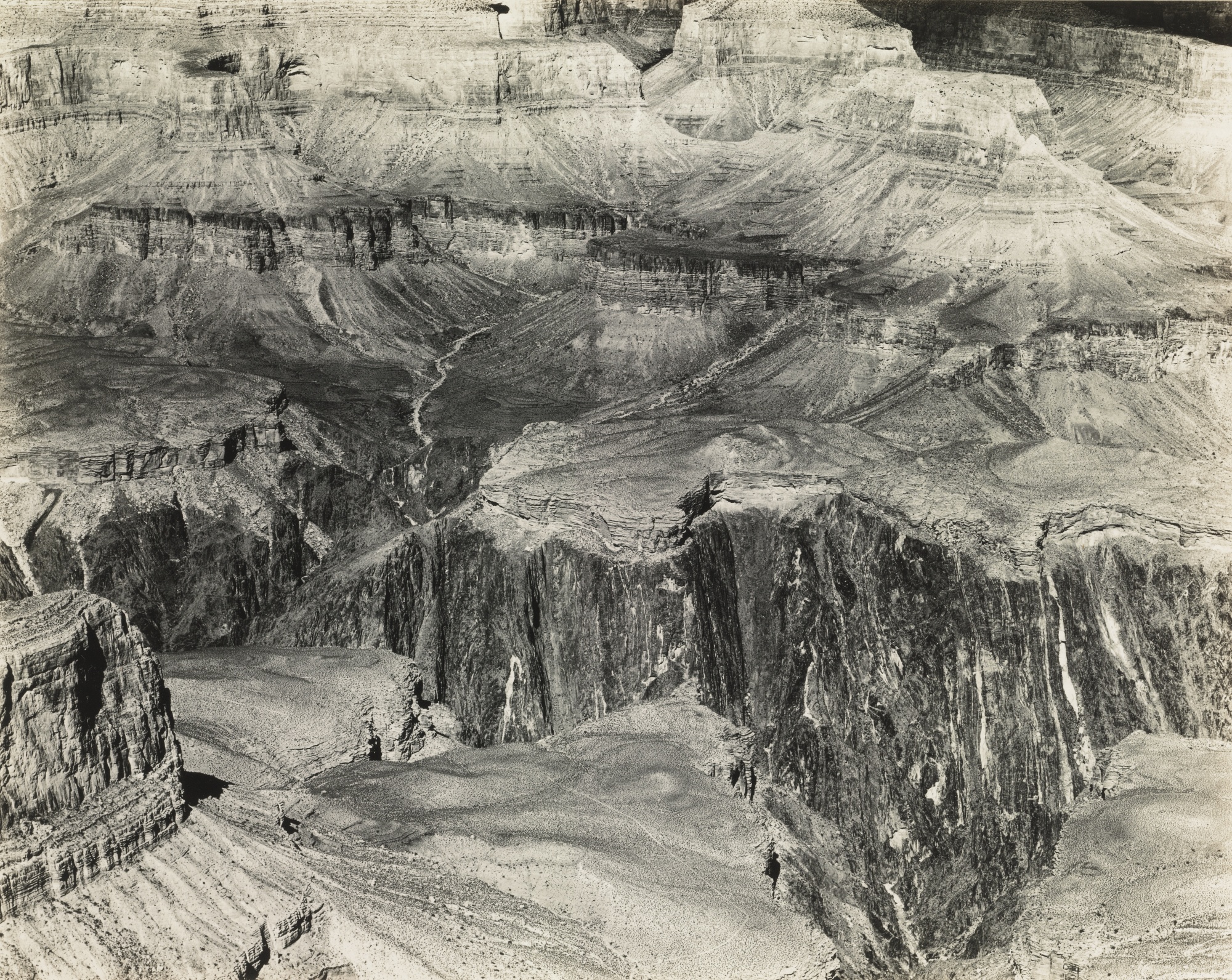 'grand canyon'