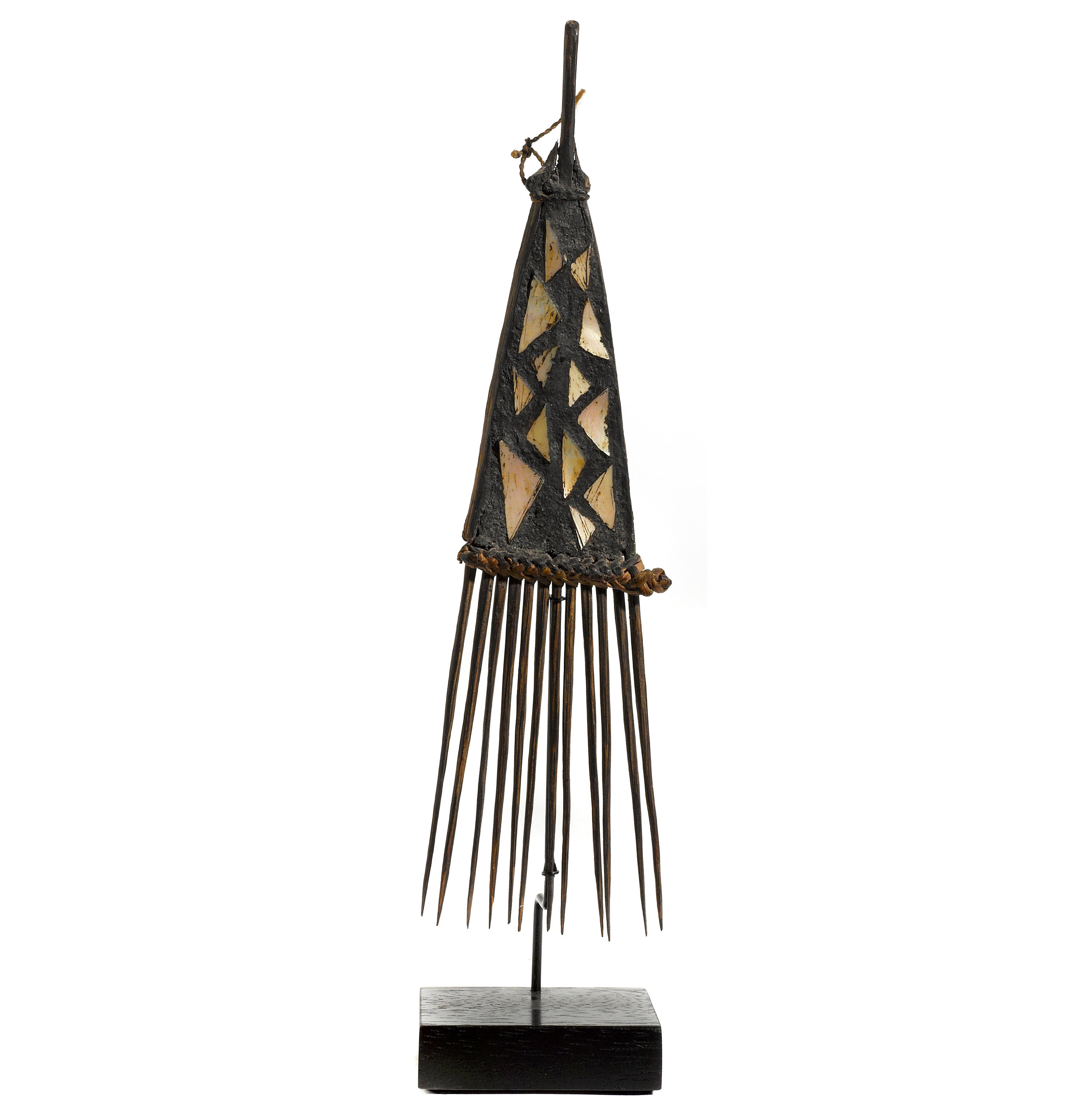 San Cristobal Island Comb, faa, Solomon Islands