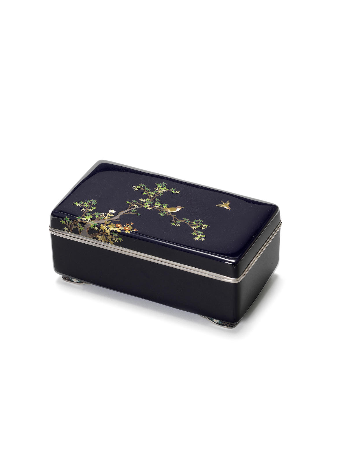 A cloisonné enamel rectangular box and cover Meiji Period