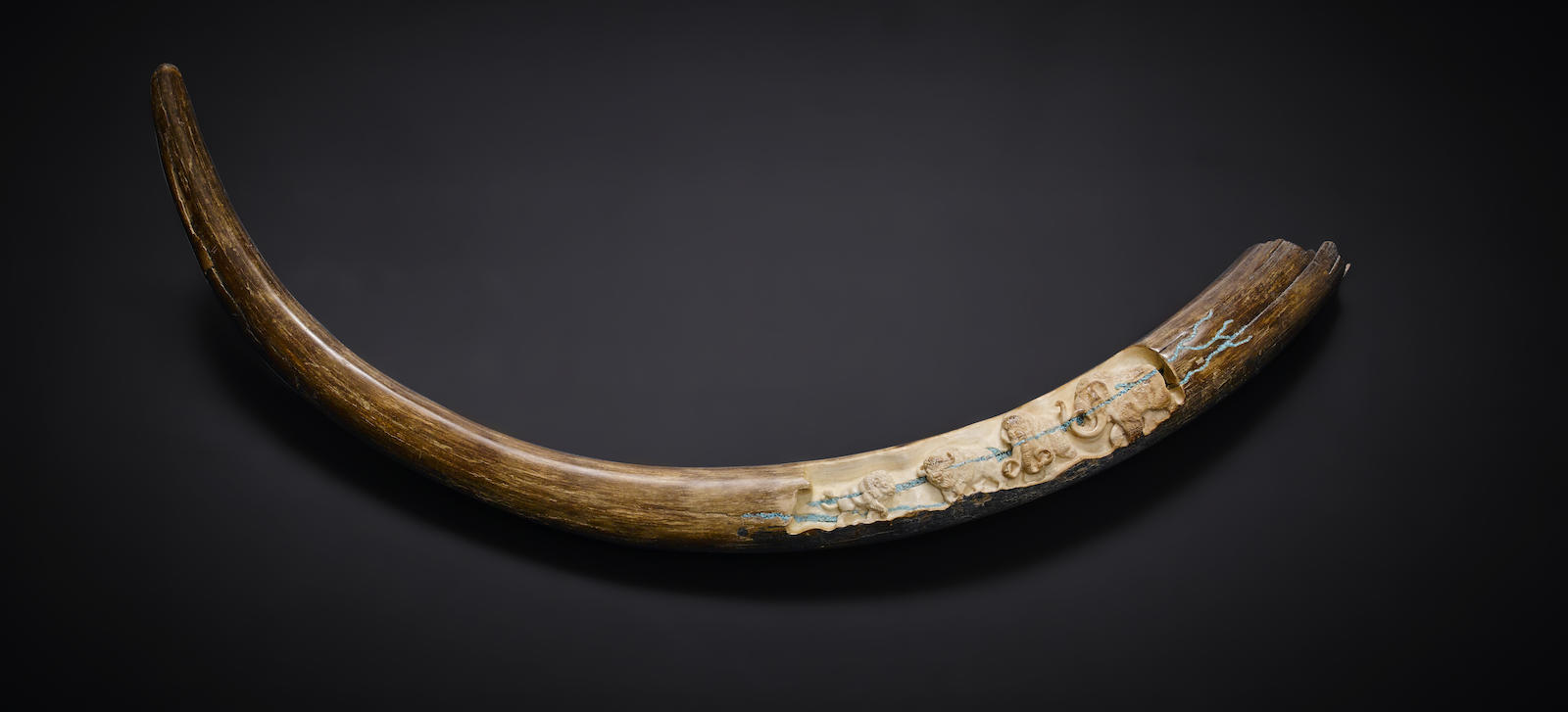 Fossil Woolly Mammoth Carved and Inlaid Tusk