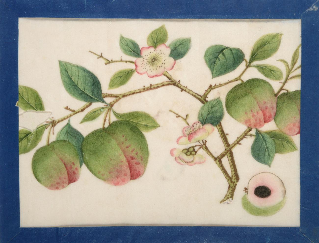 A Set of Five Chinese Export Pith Paper Paintings