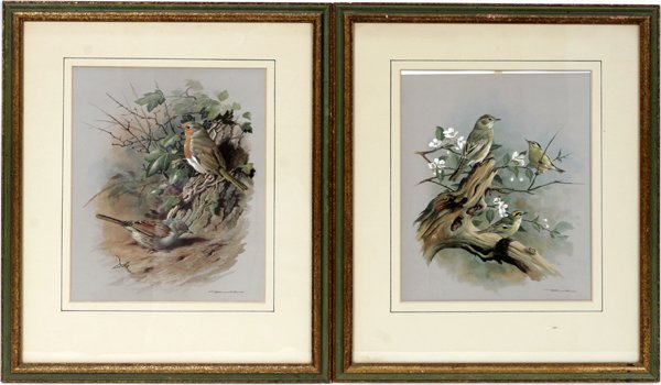 120267: BASIL EDE, PRINTS, GOLD CREST & FLYCATCHER