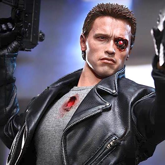Terminator - Hot Toys - 1/6 scale - Arnold Schwarzenegger as "Battle Damaged" T-800