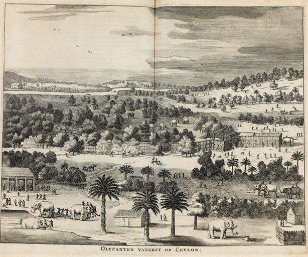 BALDAEUS, Philippus (1632-1672). Wahrhaftige ausfürliche Beschreibung der berühmten Ost-Indischen Kusten Malabar und Coromandel, als auch der Insel Zeylon