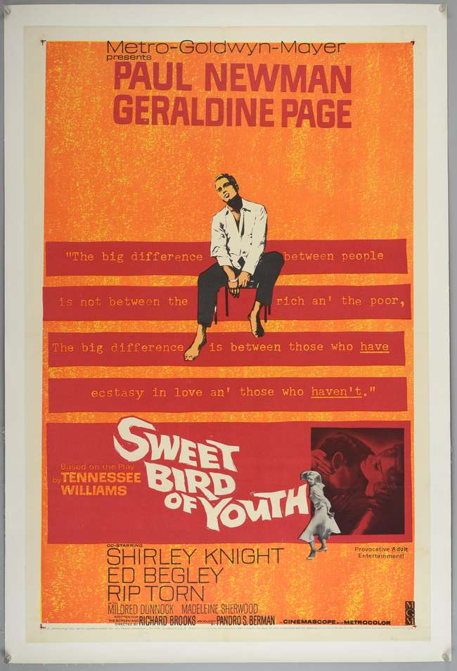 Sweet Bird of Youth (1962) US One Sheet film poster