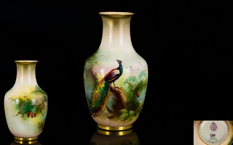 Royal Worcester Hand Painted Small Vase ' Peacock In a...