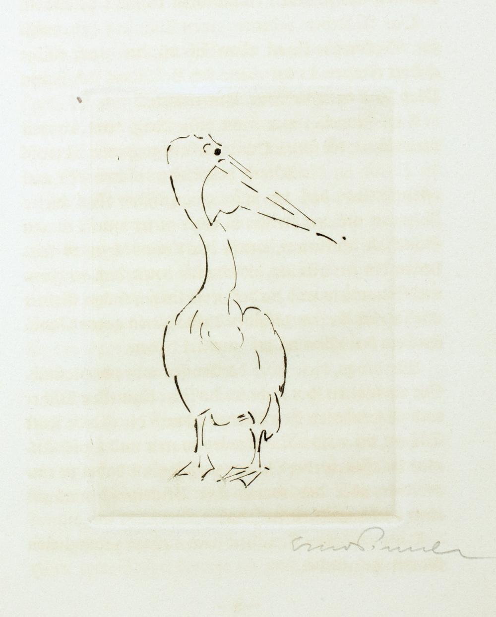 Erna Pinner - Kasimir Edschmid. Der Russen-Zoo.