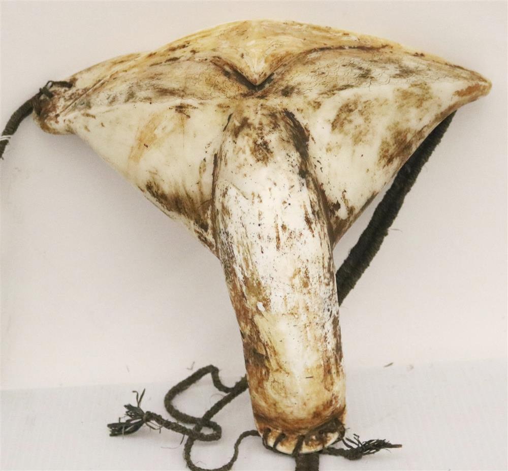 SOLOMON ISLANDS MALAITA ISLAND TRIBAL PENILE COVER