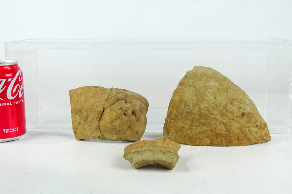 Pottery Shards