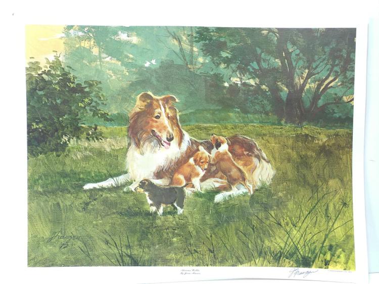 James Franzen "American Collies" Print