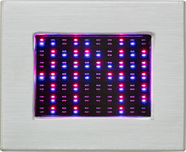 Jenny Holzer - Purple Truisms Survival