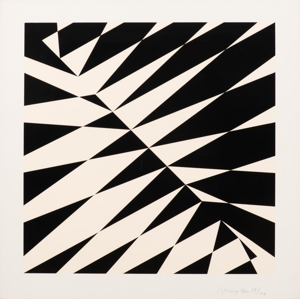 Peter Struycken: signed screenprint