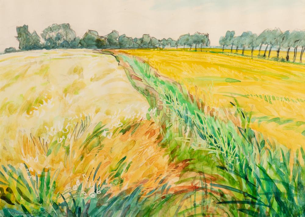 Splendid watercolour painting by Jannes de Vries