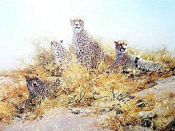 A signed David Shepherd limited edition print of cheetahs in landscape