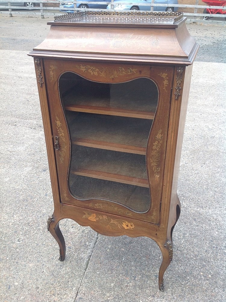 A nineteenth century mahogany vitrine, the rectangular top surmounted