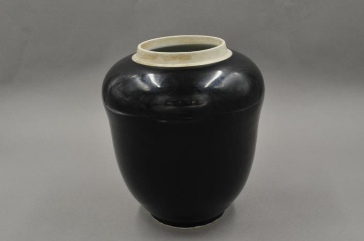 Chinese Kangxi Mark and Period Black Vase
