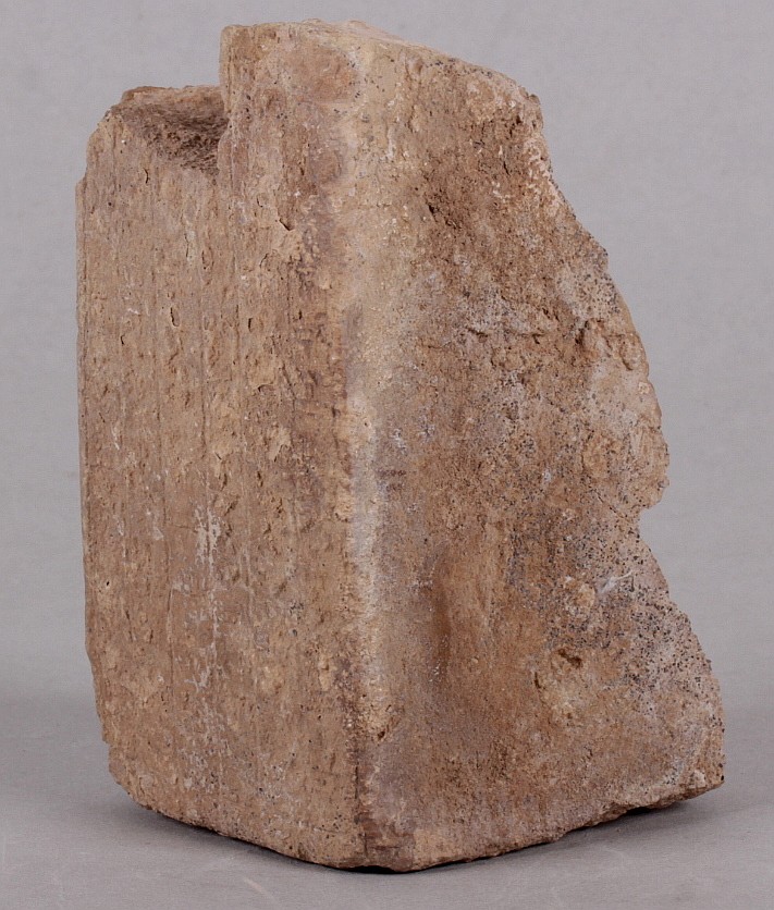 An Ancient Terracotta Fragment