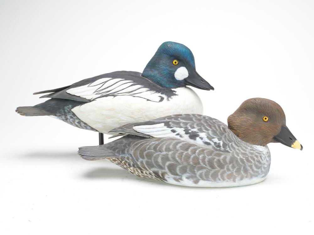 Pair of goldeneye, Jim Foote, Gibraltar, Michigan.