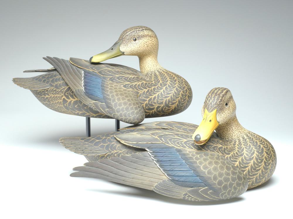 Highly decorative and exceptional pair of black ducks