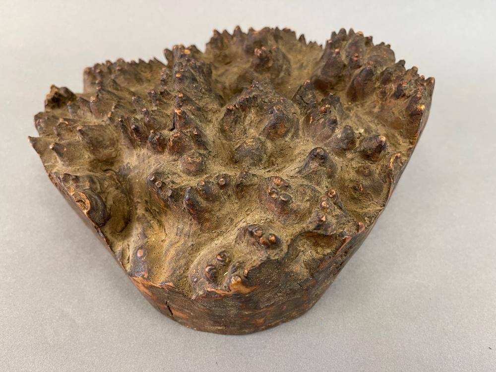BURL WOOD EXAMPLE 9 X 3.5