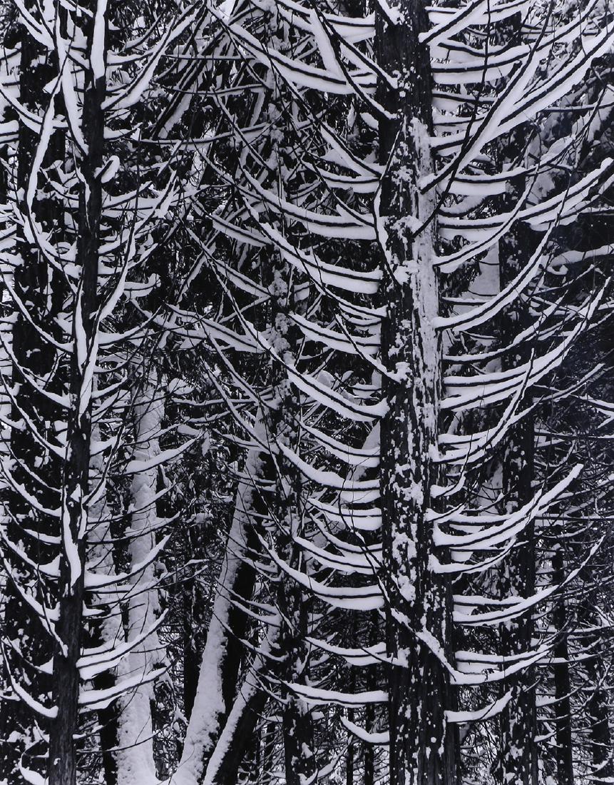 Photograph, Ansel Adams