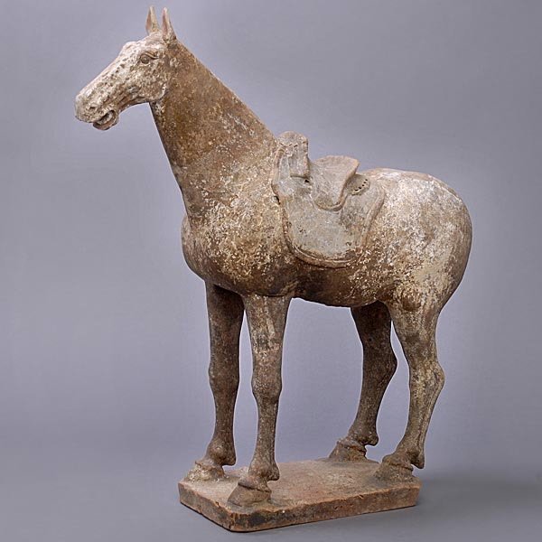 A Painted Pottery Figure of a Horse, Tang Dynasty