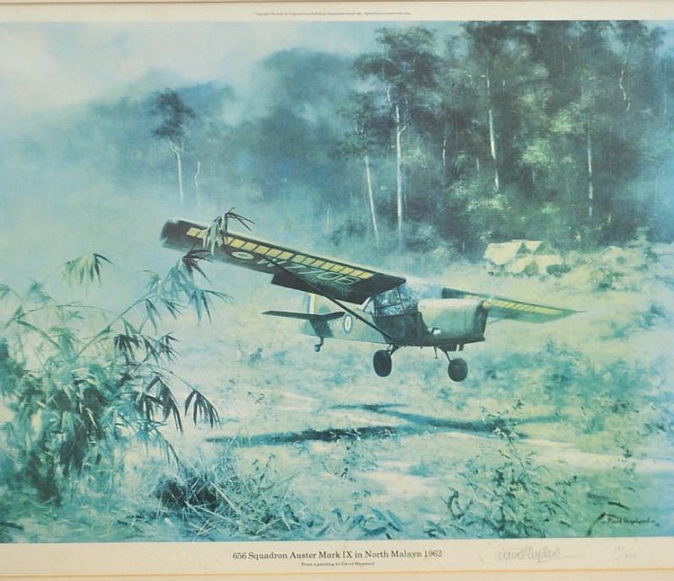 After DAVID SHEPHERD Limited edition signed print