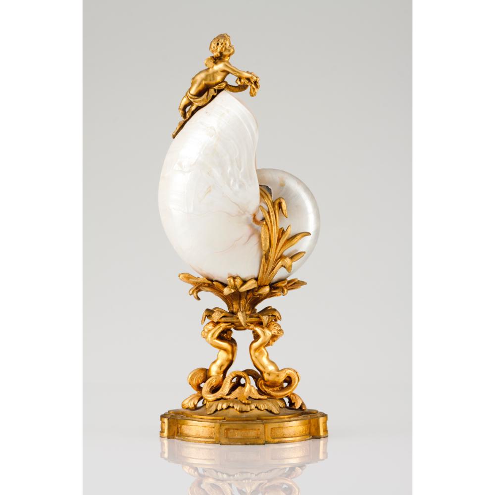 A large mounted Nautilus shell