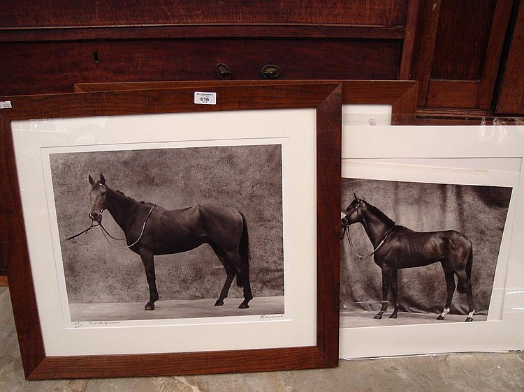 Three framed Limited Edition prints of Race Horses