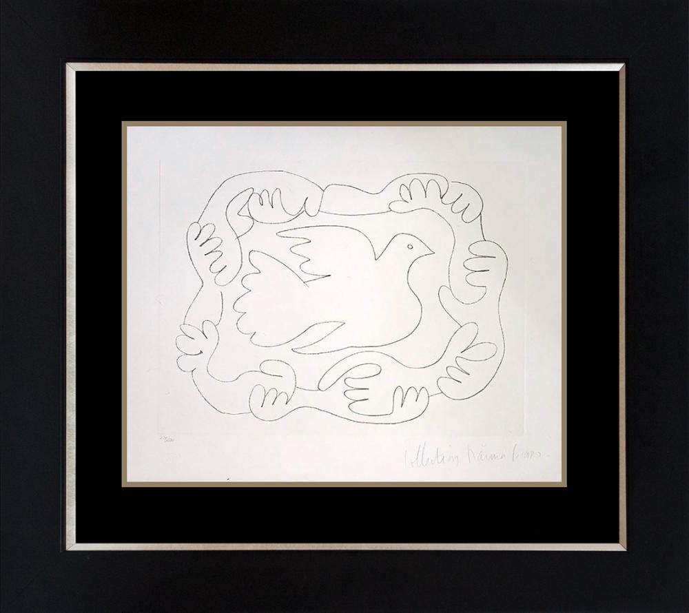 Pablo Picasso Lithograph Marina Picasso Edition from 1982 Limited Editio