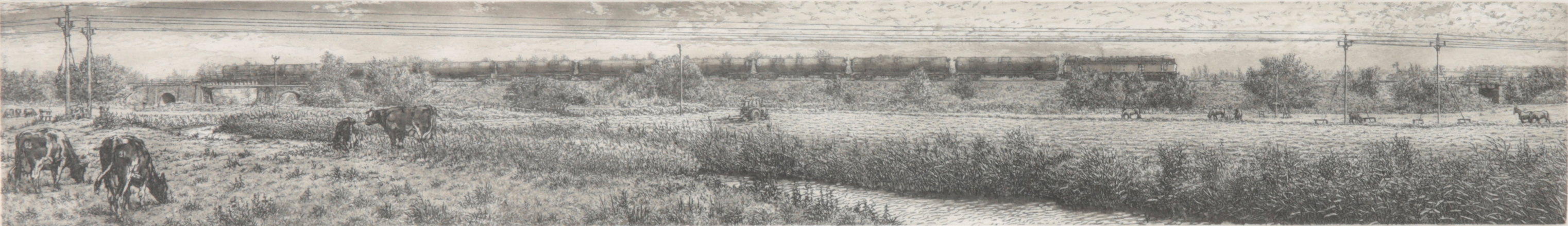 *NICK WARD (CONTEMPORARY) 'Wareham'