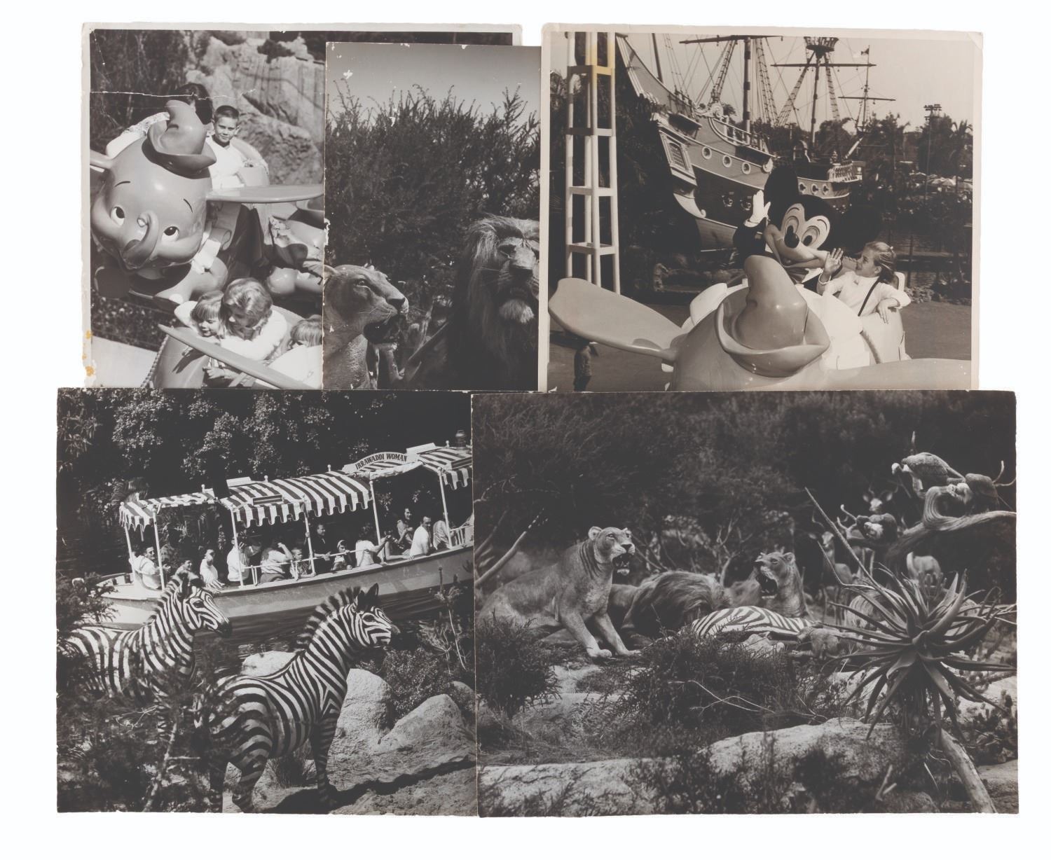 Oversized Prints of the Jungle Cruise and Dumbo.