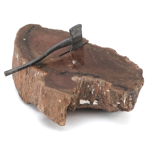 Petrified log souvenir from the Grand Canyon, Arizona, circa...