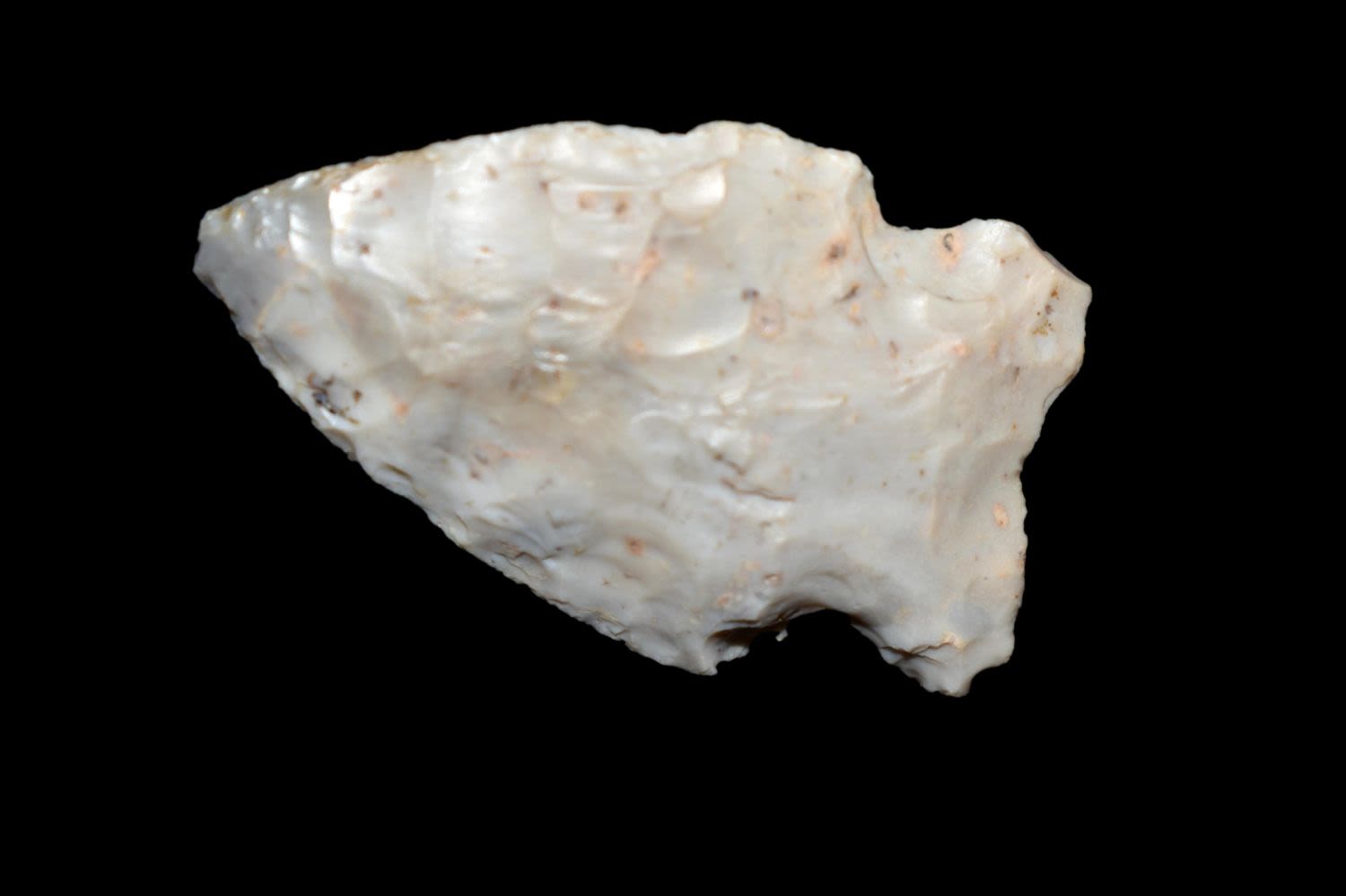 1 1/2" Corner Notch found in Illinois, Authentic Native American Arrowhead